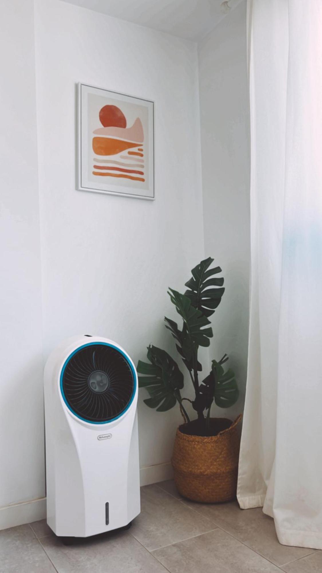 コラレホCasa Molokaiアパートメント エクステリア 写真
